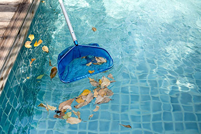 What to do Between Professional Pool Cleaning Services