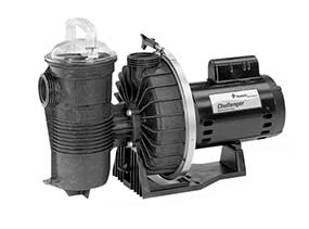 Challenger high pressure swimming pool pump manufactured by Pentair