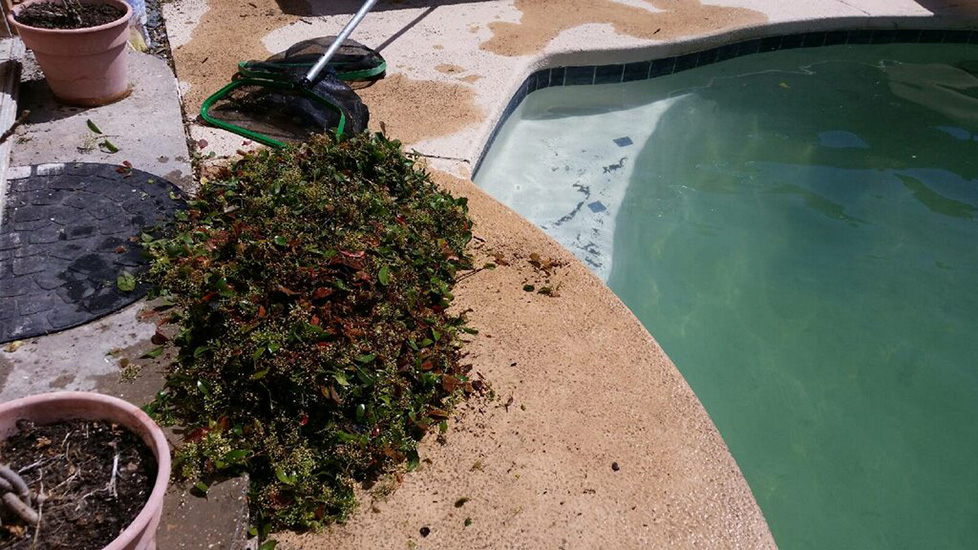 How to Take Care of Your Pool Equipment after Winter