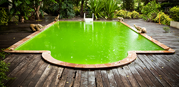 pool turned green due to lack of maintenance