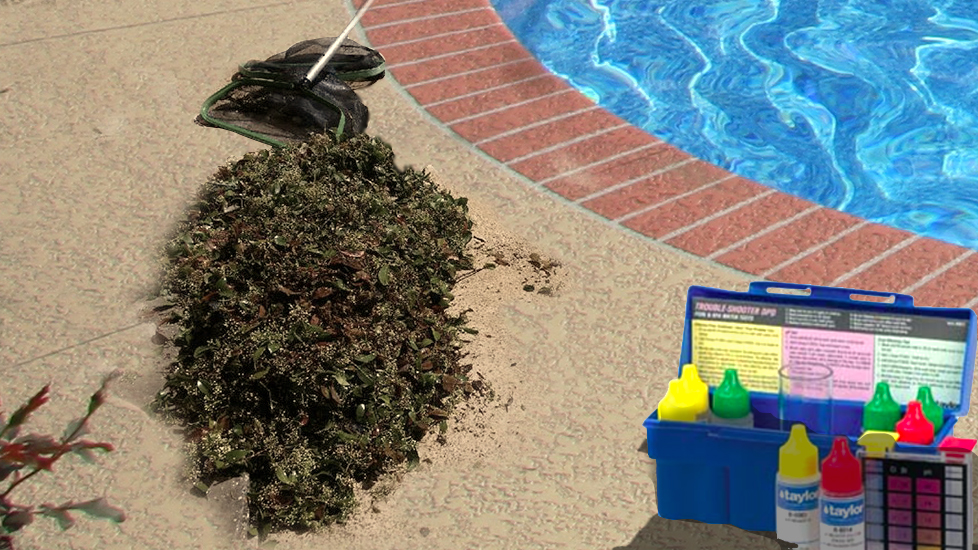 Clean and Balance the Pool Water