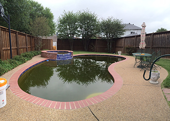 image of flower beds washed into pool from heavy rain