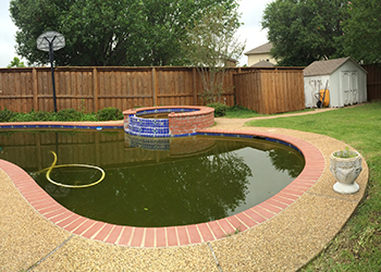 another image of flower beds washed into pool from heavy rain