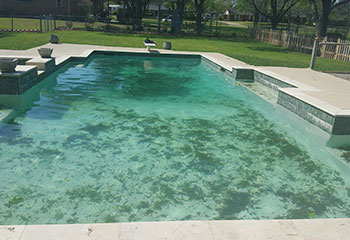 New homeowner contacted us for pool clean up
