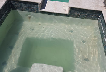 New homeowner contacted us for pool clean up