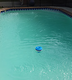 Pool Cleaning Program for Homeowners
