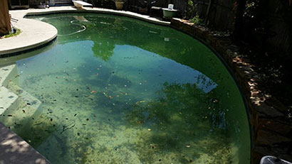 pool with dirt and leaves in it during the winter season