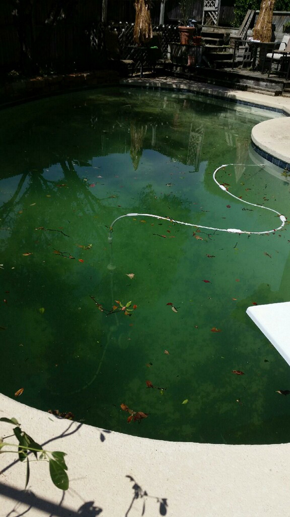 Winter Pool Maintenance