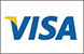 Visa Logo